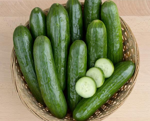 Cucumber