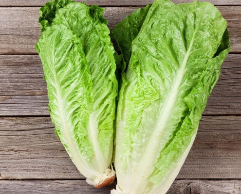 Lettuce