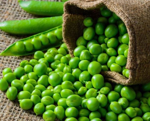 Pea