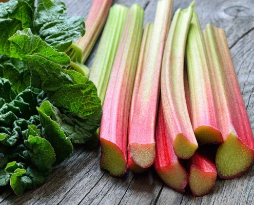 Rhubarb