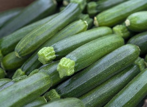 courgette